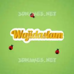 wajidaslam in Ladybugs style - 3D name wallpaper