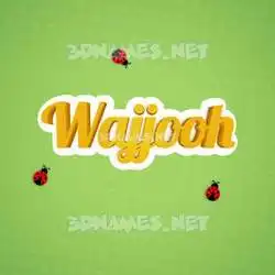 wajjooh in Ladybugs style - 3D name wallpaper