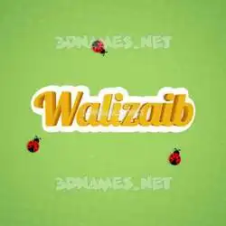 walizaib in Ladybugs style - 3D name wallpaper