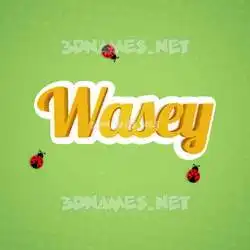 wasey in Ladybugs style - 3D name wallpaper