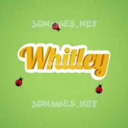 whitley in Ladybugs style - 3D name wallpaper