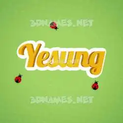 yesung in Ladybugs style - 3D name wallpaper