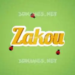 zakou in Ladybugs style - 3D name wallpaper