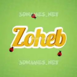 zoheb in Ladybugs style - 3D name wallpaper