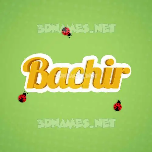 bachir in Ladybugs style - 3D name wallpaper bachir in Ladybugs style - 3D name wallpaper