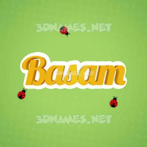 basam in Ladybugs style - 3D name wallpaper basam in Ladybugs style - 3D name wallpaper
