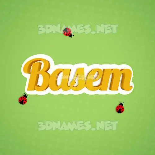 basem in Ladybugs style - 3D name wallpaper