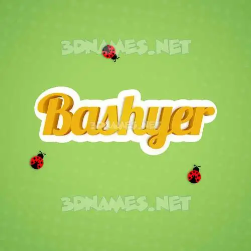 bashyer in Ladybugs style - 3D name wallpaper