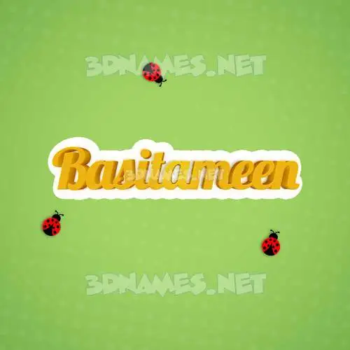 basitameen in Ladybugs style - 3D name wallpaper basitameen in Ladybugs style - 3D name wallpaper