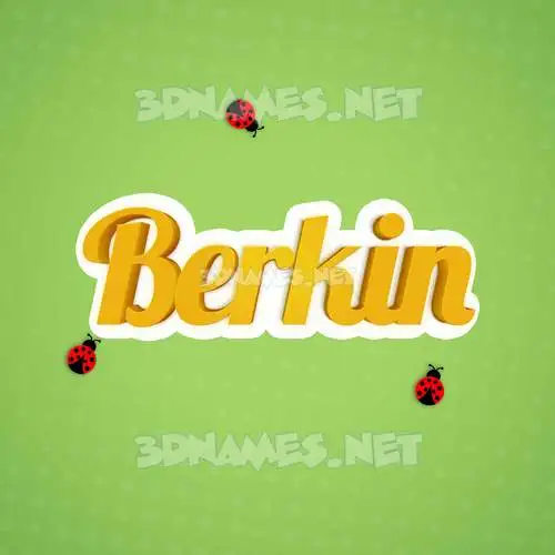 berkin in Ladybugs style - 3D name wallpaper berkin in Ladybugs style - 3D name wallpaper