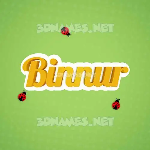 binnur in Ladybugs style - 3D name wallpaper binnur in Ladybugs style - 3D name wallpaper