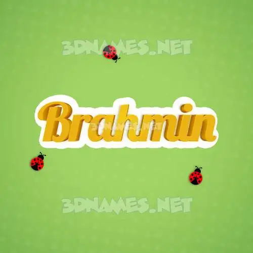 brahmin in Ladybugs style - 3D name wallpaper brahmin in Ladybugs style - 3D name wallpaper