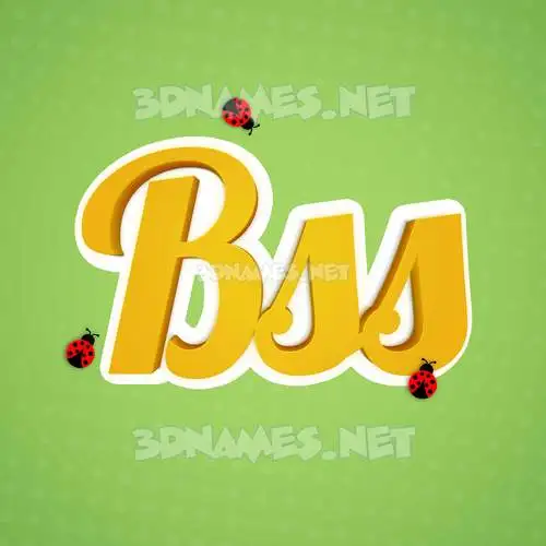 bss in Ladybugs style - 3D name wallpaper bss in Ladybugs style - 3D name wallpaper