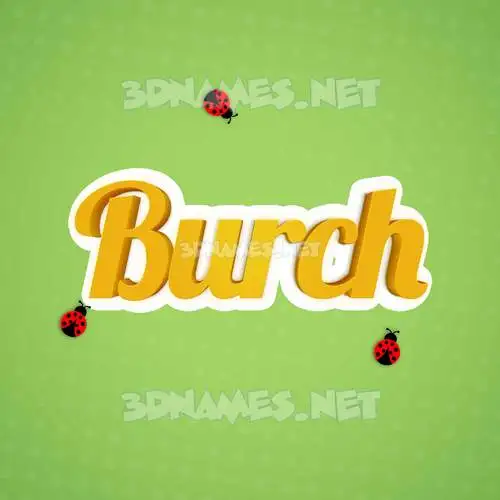 burch in Ladybugs style - 3D name wallpaper burch in Ladybugs style - 3D name wallpaper