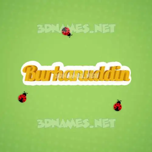 burhanuddin in Ladybugs style - 3D name wallpaper