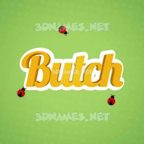 butch in Ladybugs style - 3D name wallpaper butch in Ladybugs style - 3D name wallpaper