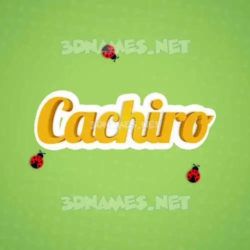 cachiro in Ladybugs style - 3D name wallpaper cachiro in Ladybugs style - 3D name wallpaper