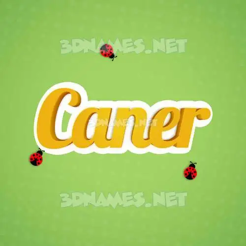 caner in Ladybugs style - 3D name wallpaper caner in Ladybugs style - 3D name wallpaper