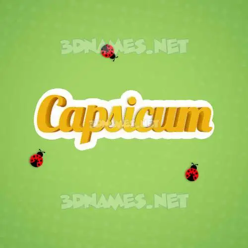 capsicum in Ladybugs style - 3D name wallpaper capsicum in Ladybugs style - 3D name wallpaper