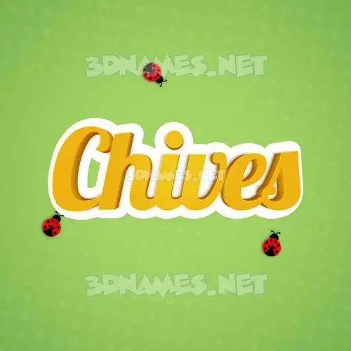 chives in Ladybugs style - 3D name wallpaper chives in Ladybugs style - 3D name wallpaper