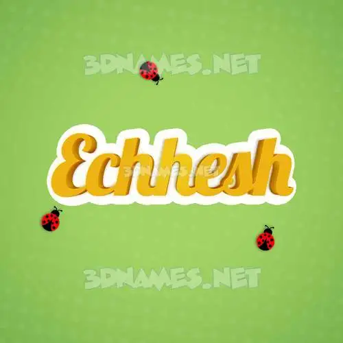 echhesh in Ladybugs style - 3D name wallpaper