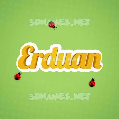 erduan in Ladybugs style - 3D name wallpaper erduan in Ladybugs style - 3D name wallpaper
