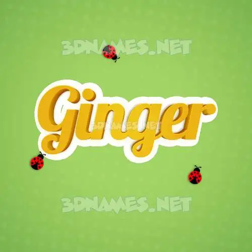 ginger in Ladybugs style - 3D name wallpaper
