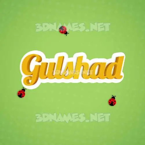 gulshad in Ladybugs style - 3D name wallpaper