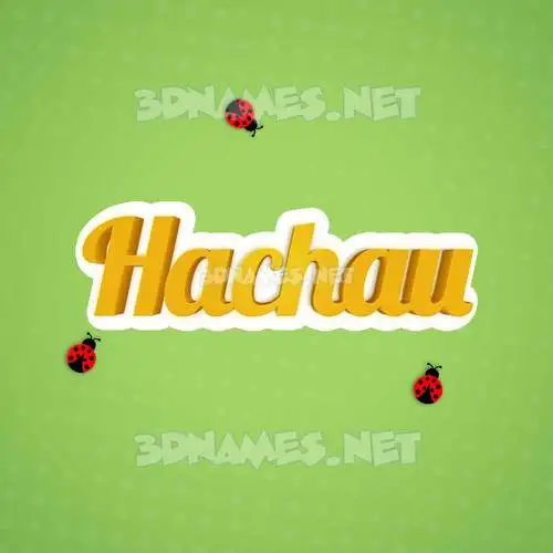 hachau in Ladybugs style - 3D name wallpaper hachau in Ladybugs style - 3D name wallpaper