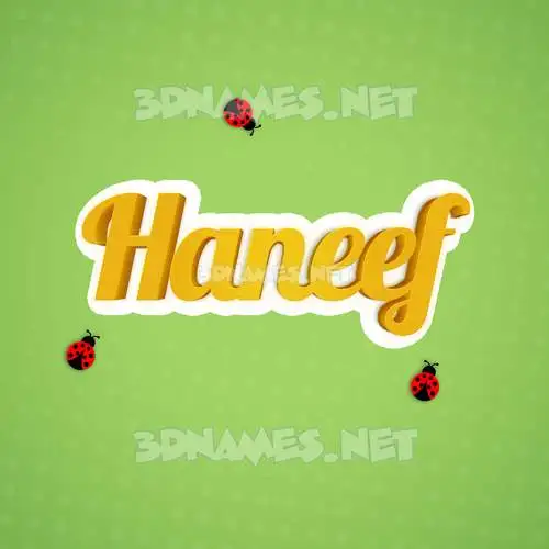 haneef in Ladybugs style - 3D name wallpaper haneef in Ladybugs style - 3D name wallpaper