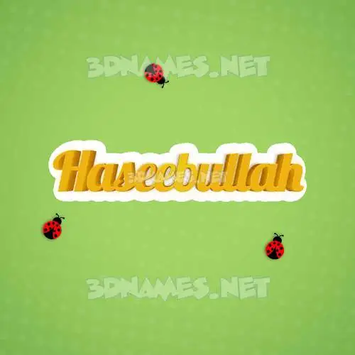 haseebullah in Ladybugs style - 3D name wallpaper haseebullah in Ladybugs style - 3D name wallpaper