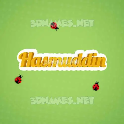 hasmuddin in Ladybugs style - 3D name wallpaper hasmuddin in Ladybugs style - 3D name wallpaper