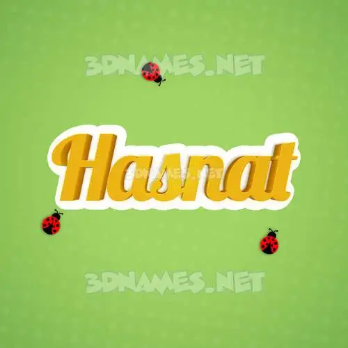 hasnat in Ladybugs style - 3D name wallpaper hasnat in Ladybugs style - 3D name wallpaper