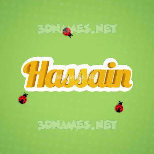 hassain in Ladybugs style - 3D name wallpaper