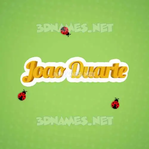 joao duarte in Ladybugs style - 3D name wallpaper