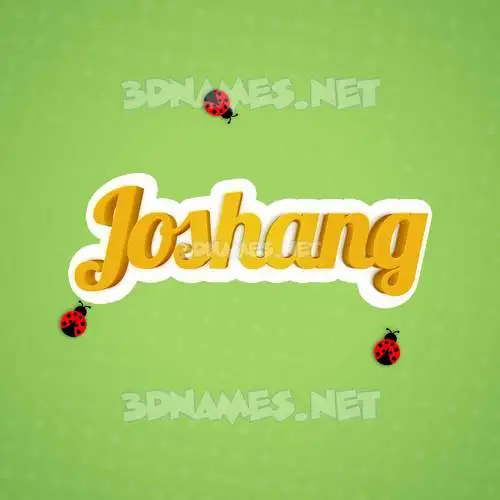 joshang in Ladybugs style - 3D name wallpaper
