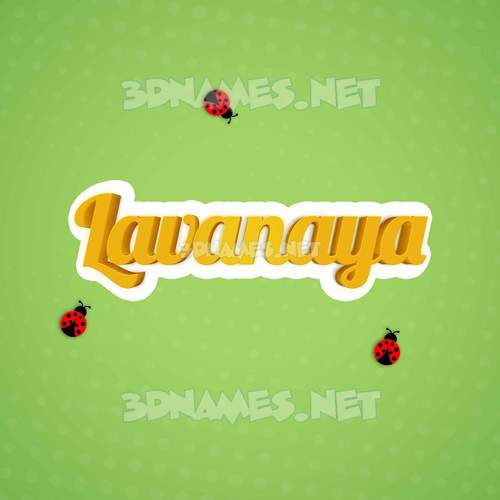 Ladybugs