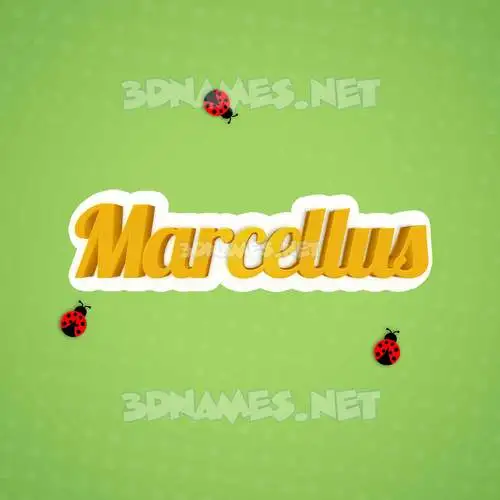 marcellus in Ladybugs style - 3D name wallpaper marcellus in Ladybugs style - 3D name wallpaper