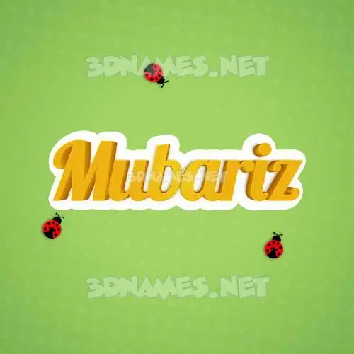 mubariz in Ladybugs style - 3D name wallpaper