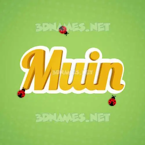 muin in Ladybugs style - 3D name wallpaper
