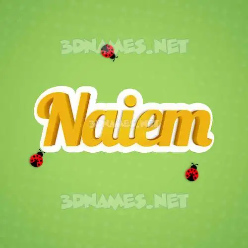 naiem in Ladybugs style - 3D name wallpaper
