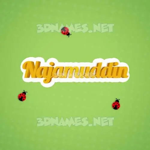 najamuddin in Ladybugs style - 3D name wallpaper najamuddin in Ladybugs style - 3D name wallpaper