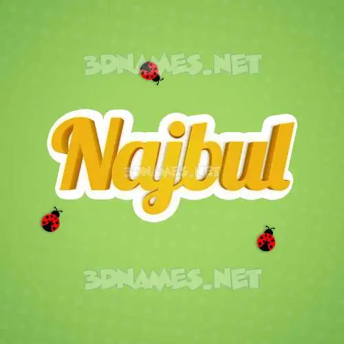 najbul in Ladybugs style - 3D name wallpaper
