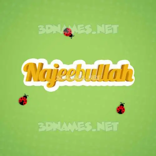 najeebullah in Ladybugs style - 3D name wallpaper najeebullah in Ladybugs style - 3D name wallpaper