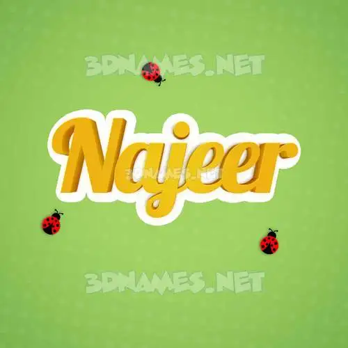 najeer in Ladybugs style - 3D name wallpaper najeer in Ladybugs style - 3D name wallpaper