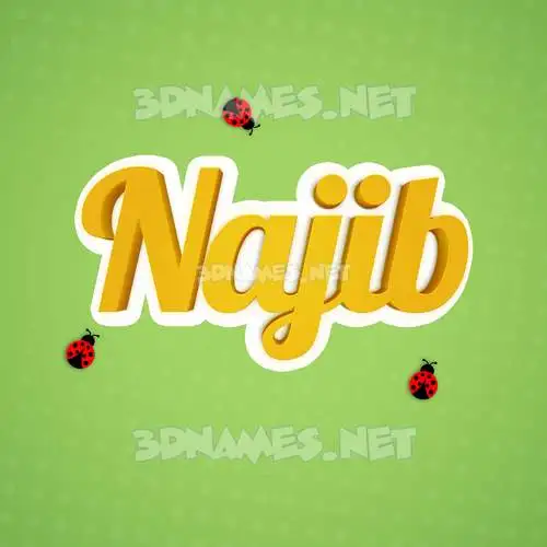 najib in Ladybugs style - 3D name wallpaper najib in Ladybugs style - 3D name wallpaper