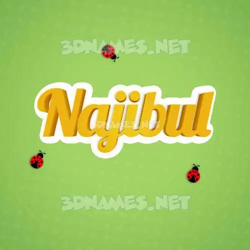 najibul in Ladybugs style - 3D name wallpaper najibul in Ladybugs style - 3D name wallpaper