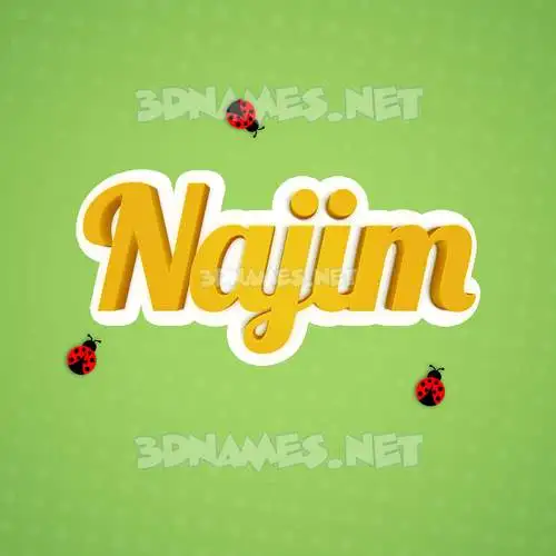 najim in Ladybugs style - 3D name wallpaper