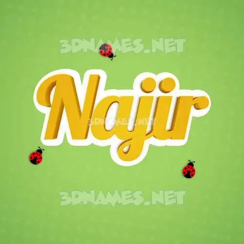 najir in Ladybugs style - 3D name wallpaper najir in Ladybugs style - 3D name wallpaper