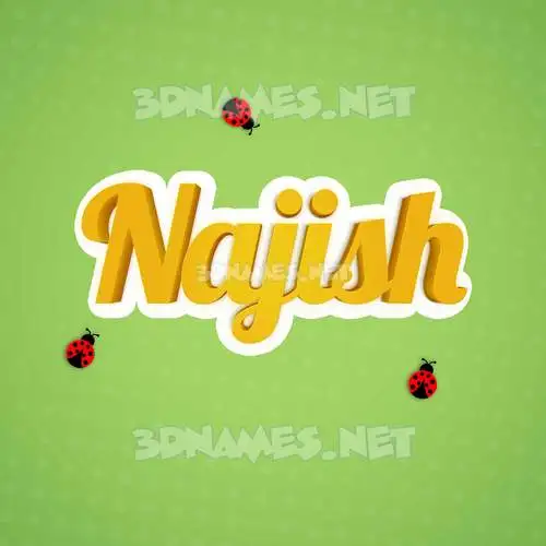 najish in Ladybugs style - 3D name wallpaper